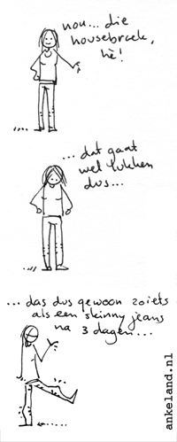 ik en mode, altijd een goede oplossing!